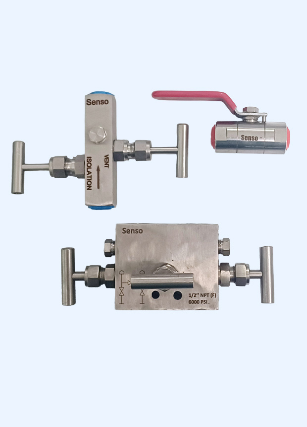 Pressure Gauge Valves