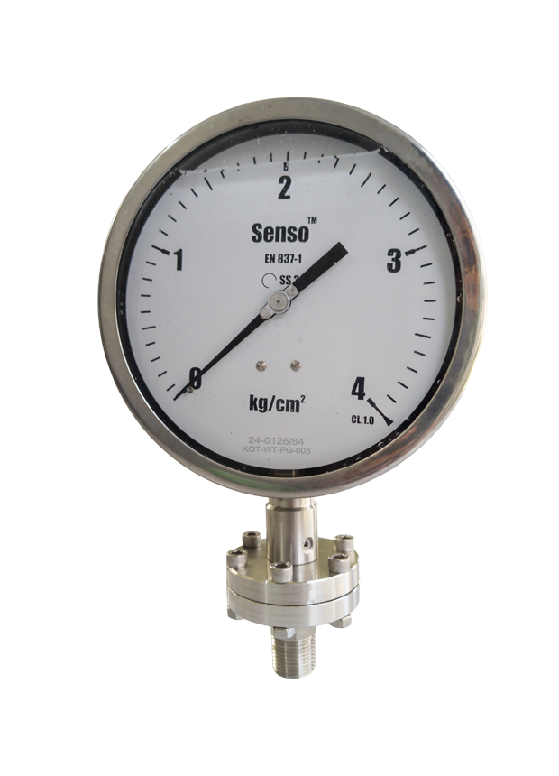 Threaded Diaphragm Seal Pressure Gauge